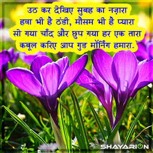 khubsurat good morning shayari in Hindi 