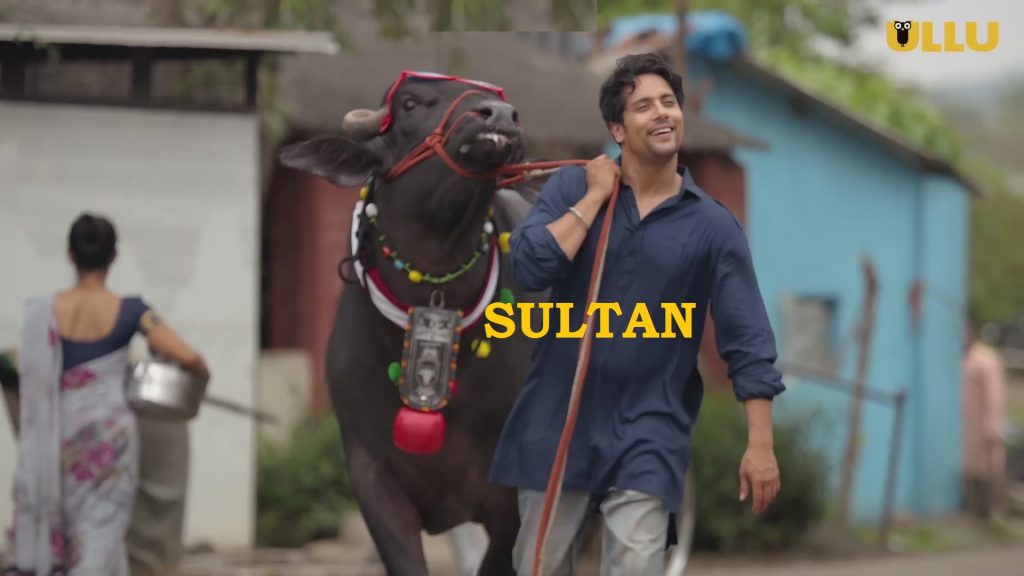Sultan Ullu Web Series 