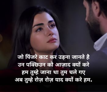 ShayariON breakup shayari in hindi 01